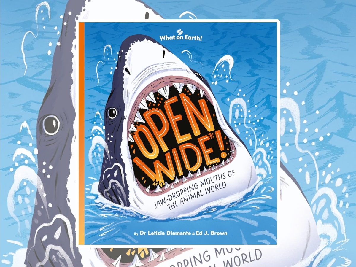 Open Wide