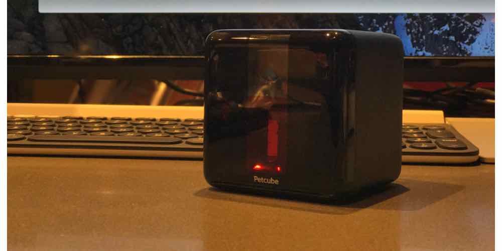 Petcube