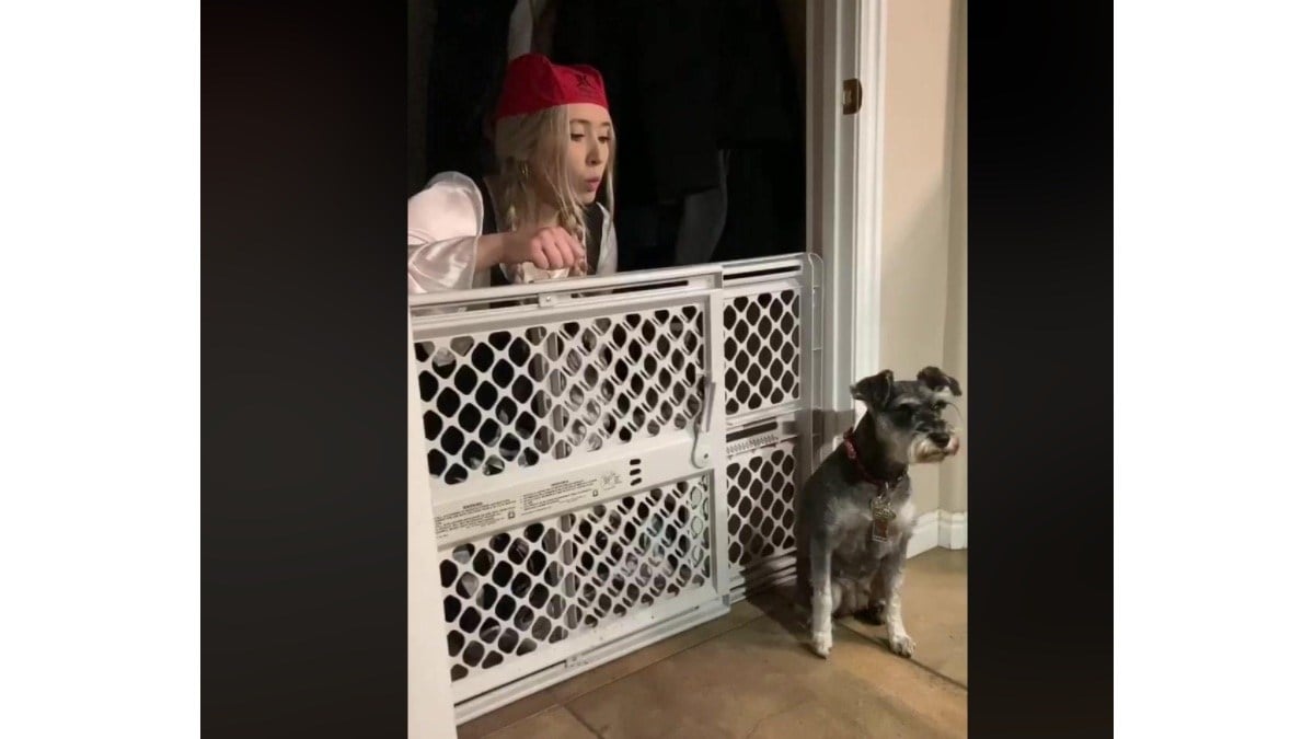 Pirates of the Caribbean at Home
