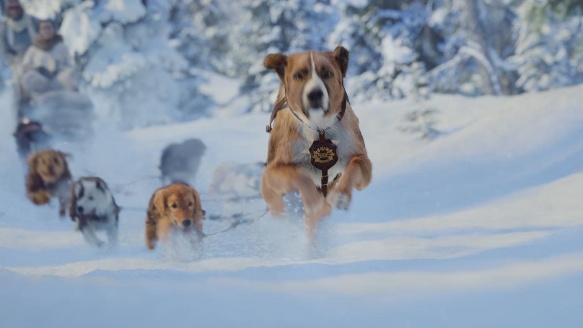 Dogsled team in 'The Call of the Wild'